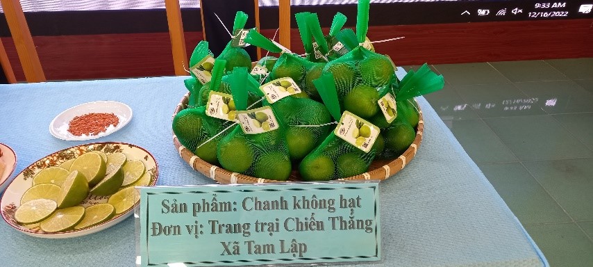 Chanh không hạt