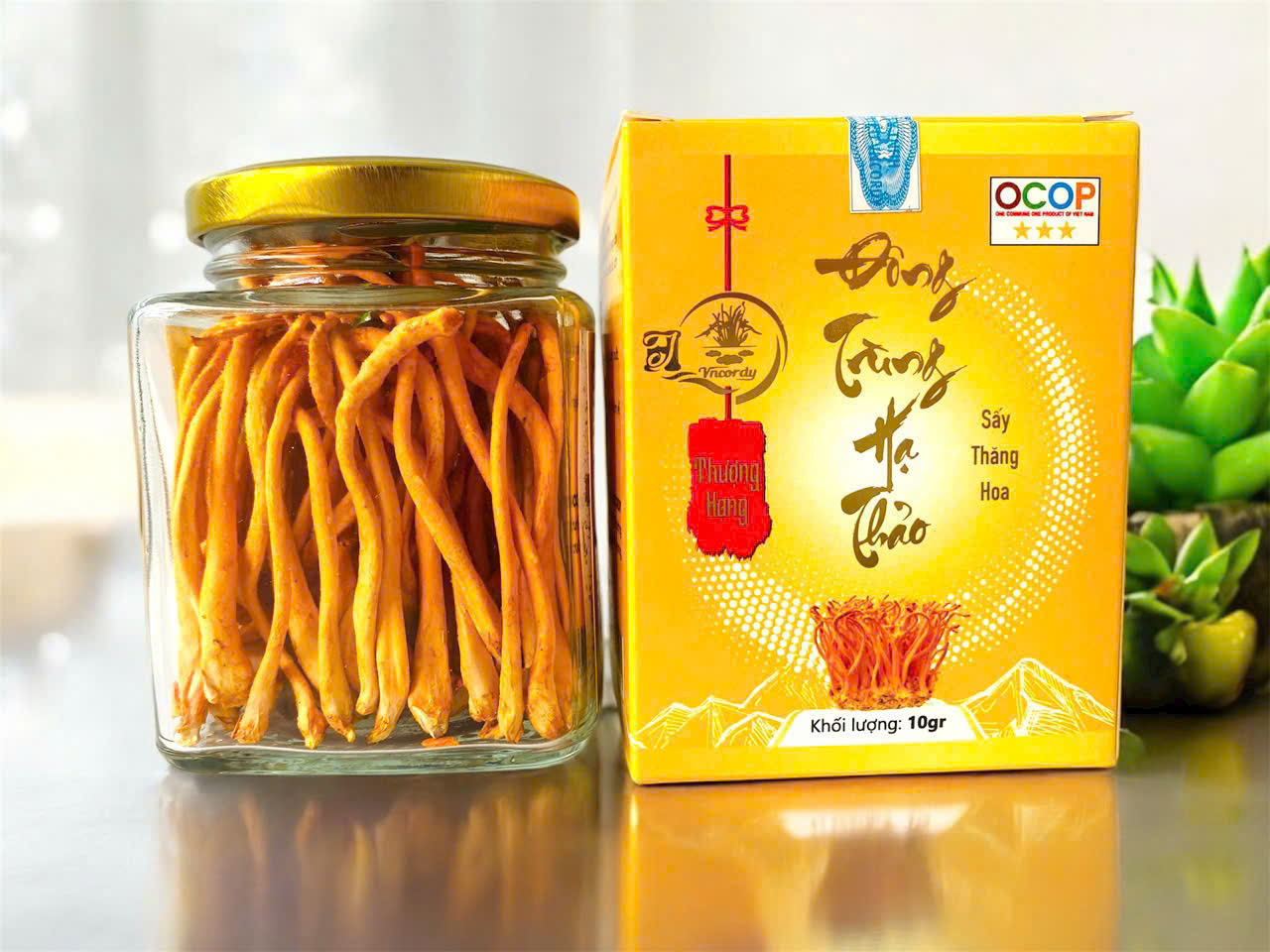 ĐÔNG TRÙNG HẠ THẢO KHÔ